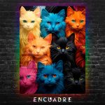 Gatos de Colores