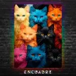 Gatos de Colores