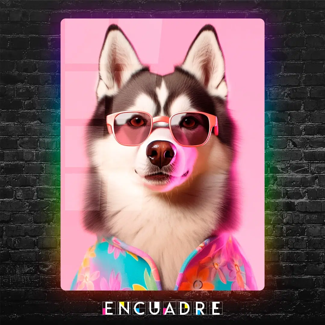 Perro Husky Miami