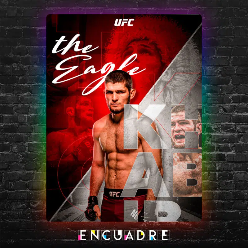 UFC - Jabib